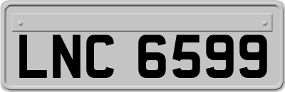 LNC6599