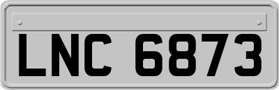 LNC6873