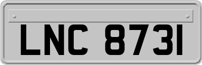 LNC8731