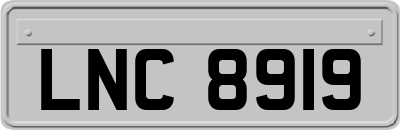 LNC8919