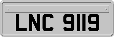 LNC9119
