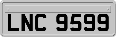 LNC9599