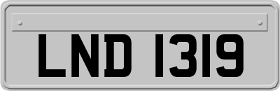 LND1319