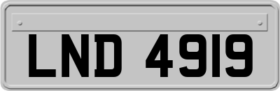 LND4919