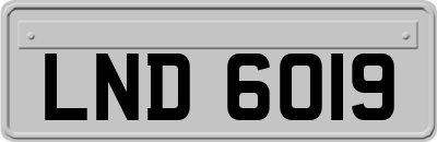 LND6019