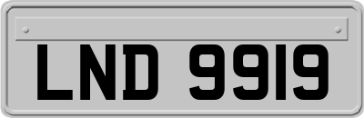LND9919