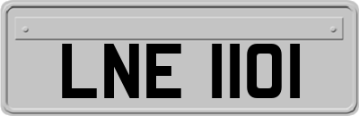 LNE1101