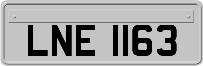 LNE1163