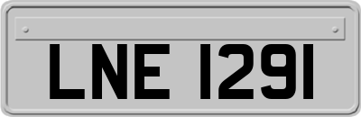 LNE1291