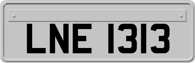 LNE1313
