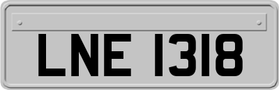 LNE1318