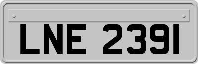 LNE2391