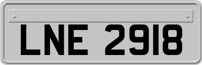 LNE2918