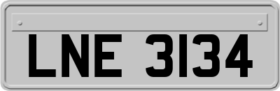 LNE3134