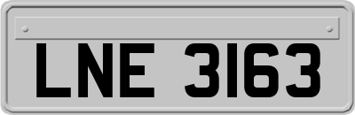 LNE3163