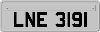 LNE3191