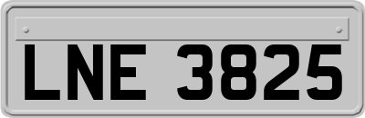 LNE3825