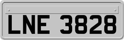 LNE3828