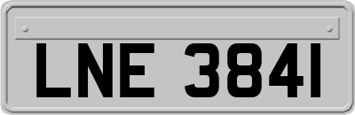 LNE3841