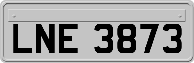LNE3873