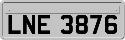 LNE3876
