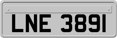 LNE3891