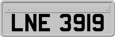 LNE3919