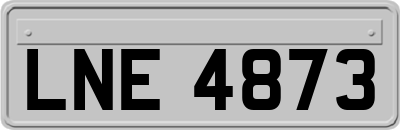 LNE4873