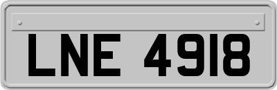 LNE4918