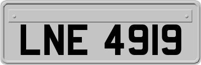 LNE4919