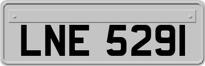 LNE5291