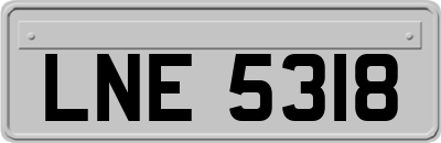LNE5318
