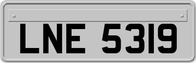 LNE5319