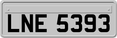 LNE5393