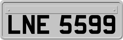 LNE5599