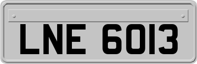 LNE6013