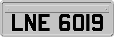 LNE6019