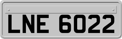 LNE6022