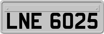 LNE6025