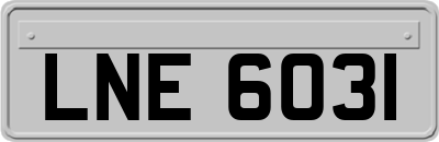 LNE6031