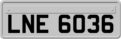 LNE6036