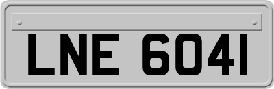 LNE6041