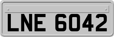 LNE6042