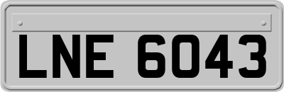 LNE6043