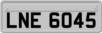LNE6045