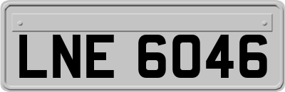 LNE6046