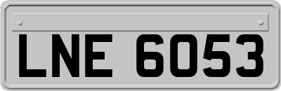 LNE6053