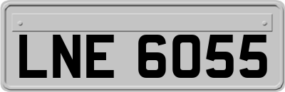 LNE6055