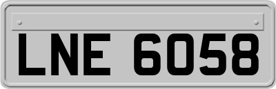 LNE6058