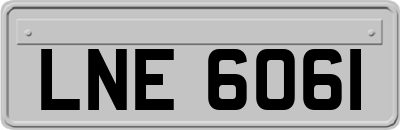 LNE6061